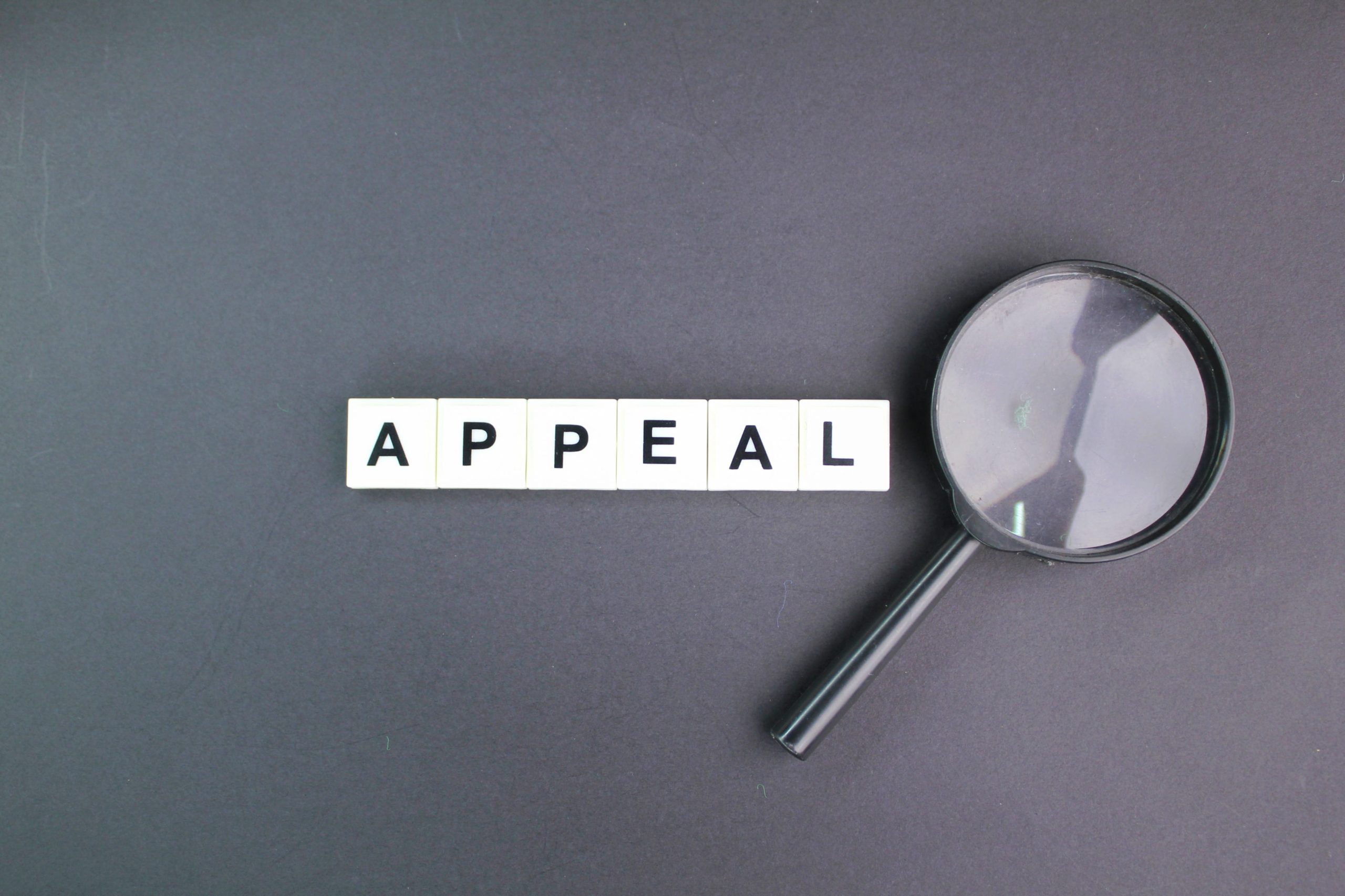 What an Appeal Should Include